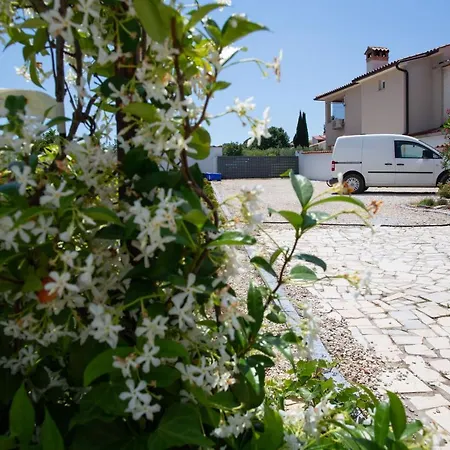 Holiday Petrovic Holiday home *